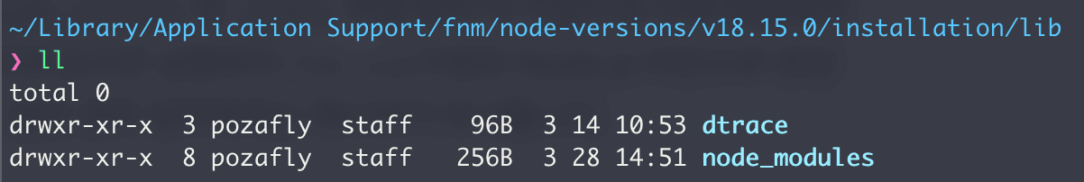 fnm-node_modules